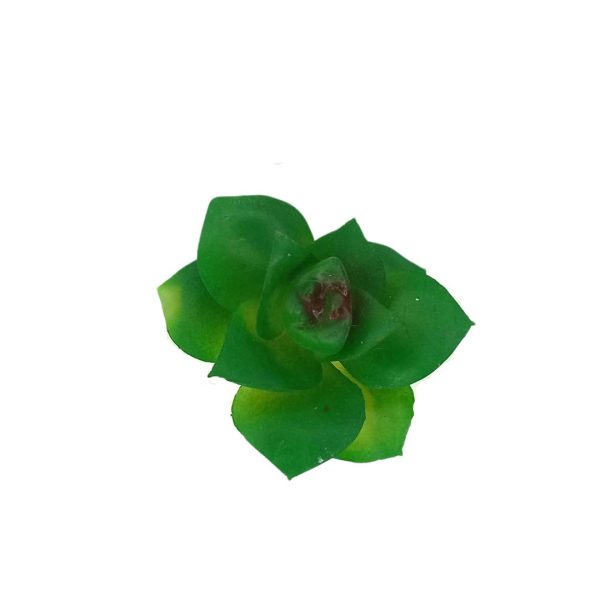 Suculenta Flor Artificial Mg1329  7892017110512