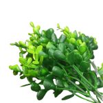 Bq Eucalipto X5 Mg893 7892017104320 - Imagem 2