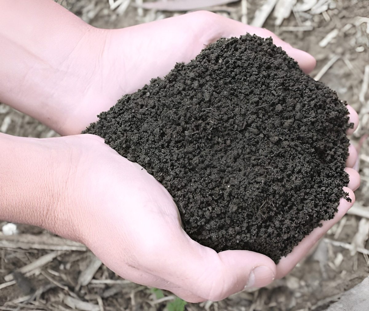 Substrato Para Rosa Do Deserto - Imagem 3