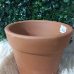 Vaso Grande Cru A14 X B17Cm