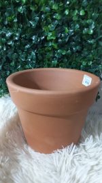 Vaso Grande Cru A14 X B17Cm