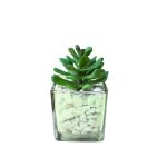 VASO DECORATIVO DE VIDRO 5X5CM