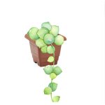 Vaso  Quadrado P 2,1 L - Terra Cota - Imagem 3