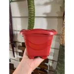 Vaso Para Planta Quadrado Mini Tradicional 0,55 Litros 11cm - Imagem 5