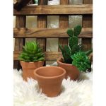 Kit 12 Vasinhos De Barro Para Suculentas E Cactos - 6cm