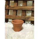 Kit 12 Vasinhos De Barro Para Suculentas E Cactos - 6cm - Imagem 3