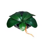 Folha De Orquidea x5 MG2674 - Imagem 2