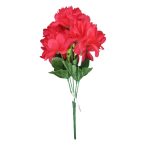 BQ Dalia MG2611 7892017107857 - Imagem 5