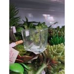 Vaso De Vidro 5X5X5Cm (Quad) Transparente - Imagem 3