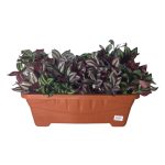 Vaso  Retangular G 7L- Terra Cota