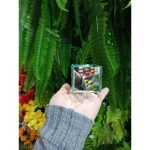 Vaso Vidro 5X5 W01 - Imagem 4