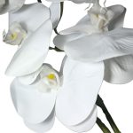 HT Orquidea- Cor Branca MG2563A - Imagem 3