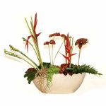 Vibrador Personal Ponto G