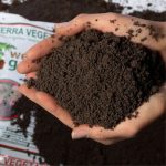 Terras Variações  1, 3, 5 kg - Imagem 2