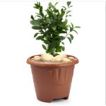 Vaso Redondo M 5 Lterra Cota - Plasmont - Imagem 2