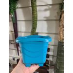 Vaso Para Planta Quadrado Mini Tradicional 0,55 Litros 11cm - Imagem 7