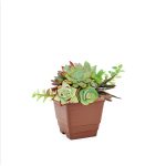 Vaso  Quadrado P 2,1 L - Terra Cota - Imagem 2