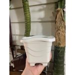Vaso Para Planta Quadrado Mini Tradicional 0,55 Litros 11cm - Imagem 2