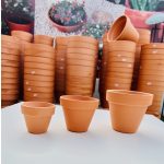 Vaso Mini Cru N4 A7 X D8 Cm - Imagem 3