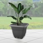 Vaso N. 22 Preto - Imagem 2