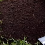 Terras Variações  1, 3, 5 kg - Imagem 4