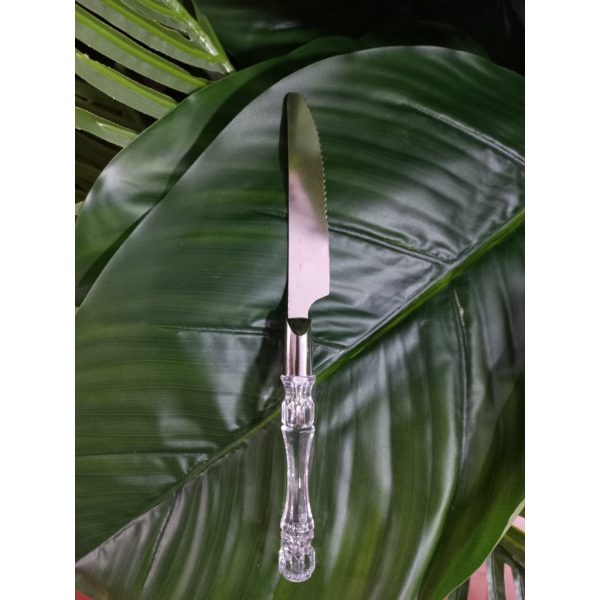 Faca Inox C Cabo Plastico Transparente