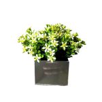 Vaso De Vidro 8X8 W02