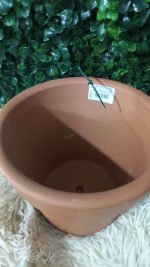 Vaso Grande Cru A14 X B17Cm - Imagem 3