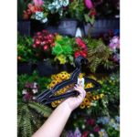 Cabide Preto Reforcado C/ 3 - Imagem 2