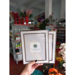 Porta Retrato Plastico/Vidro/Mdf 15X20Cm