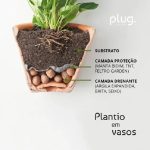 Argila Expandida Grande 2 Litros - Imagem 2