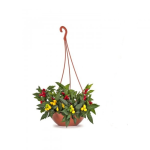 Vaso De Planta Redondo Cuia De Plastico Suspenso Com Alça - Imagem 3