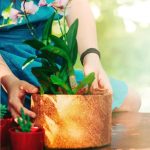 Vaso Nutricoco Completo 03 Unica - Imagem 4