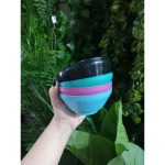 Pote Oriente Sobremesa 300Ml Ref8700 7898913488700