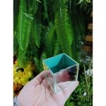 Vaso Vidro 5X5 W01 - Imagem 3