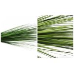 Qx Capim 62Cm Flor Artificial 91832 - Imagem 2