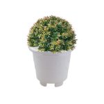 Vaso Redondo Pequeno - Imagem 3