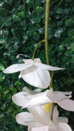 Flor Orquídea Branca Artificial - Imagem 3