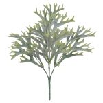 F.Chifre De Veado Plt. X25 (Verde) 33Cm (Florarte) - Imagem 2