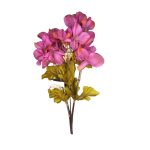 BQ HORTENSIA X5 - Imagem 3