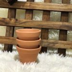 Kit 6 Vasos De Barro Para Cactos E Suculentas - 10cm - Imagem 3