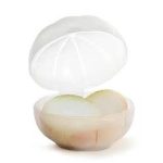 Porta Cebola Transparente 079C - Imagem 3