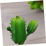 Suculenta Cacto MG2655 - Imagem 3