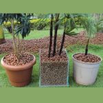 Argila Expandida Pequena 1 Litro - Imagem 3