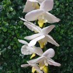 Flor Orquídea Branca Artificial