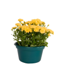 Cachepot C/ Alca 21X12,5Cm - Plasmarc - Imagem 4