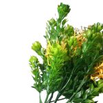 Bq Flor do Campo X5 Verde c/ Amarela Mg2067 - Imagem 3