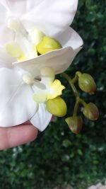 Flor Orquídea Branca Artificial - Imagem 2