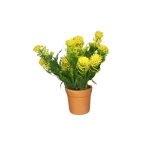 BQ DENTE DE LEAO Mg2050