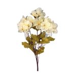 BQ HORTENSIA X5 - Imagem 4